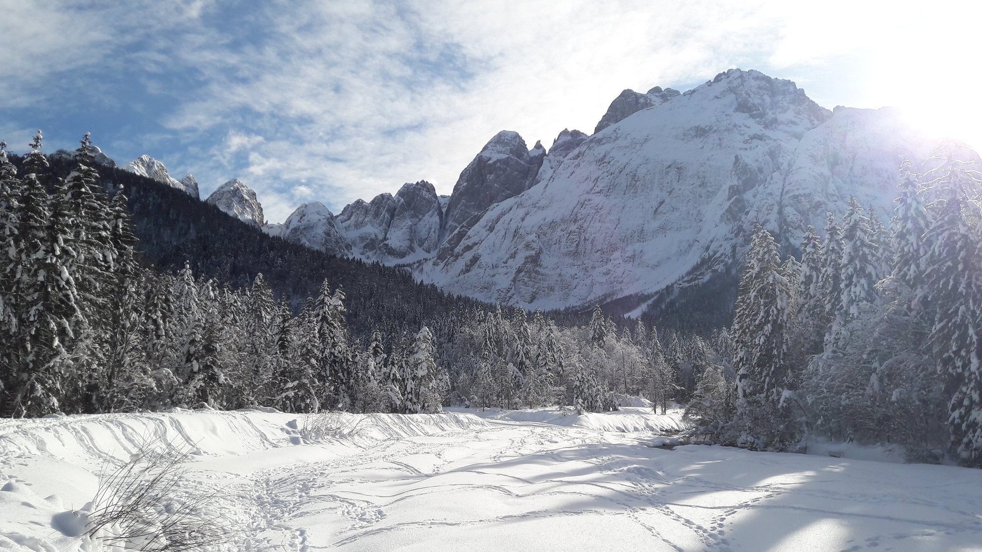 winter activities in Val Saisera - ski country tracks